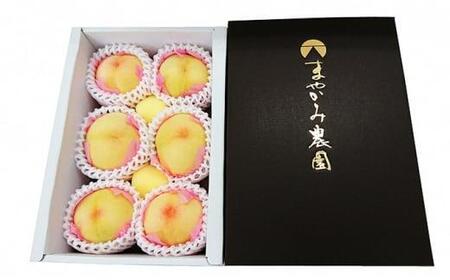 岡山の桃　白桃5～6玉（約1kg）