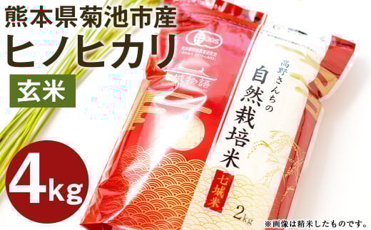 【真空パック】熊本県菊池産 ヒノヒカリ 玄米 計4kg（2kg×2パック）七城物語 高野さんちの自然栽培米 《30日以内に出荷予定(土日祝除く)》---045-3024---
