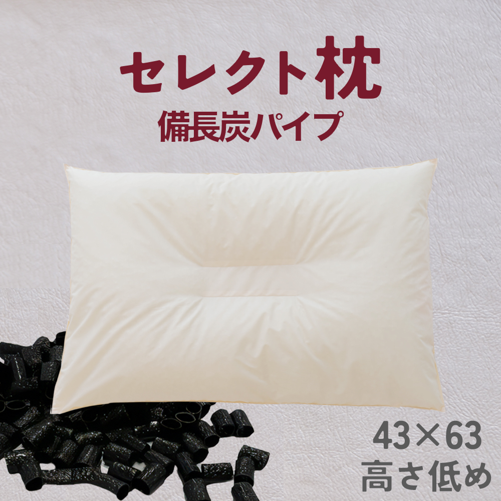 18622026 セレクト枕 備長炭パイプ 中央くぼみタイプ 低め（43×63cm）