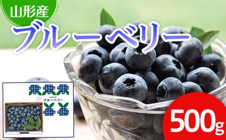 山形市産 ブルーベリー 500g 【令和7年産先行予約】 FU21-606 くだもの 果物 フルーツ 山形 山形県 山形市 2025年産