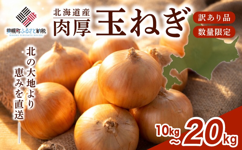 
                  訳あり 玉ねぎ 20kg 選べる 令和7年度産 Sサイズ 先行予約 令和8年度産 M・Lサイズ／2026年10月上旬より順次発送 人気 おすすめ ランキング たまねぎ 玉ネギ 玉葱 オニオン ハンバーグ BBQ スープ 国産 野菜 北海道 美幌町
                