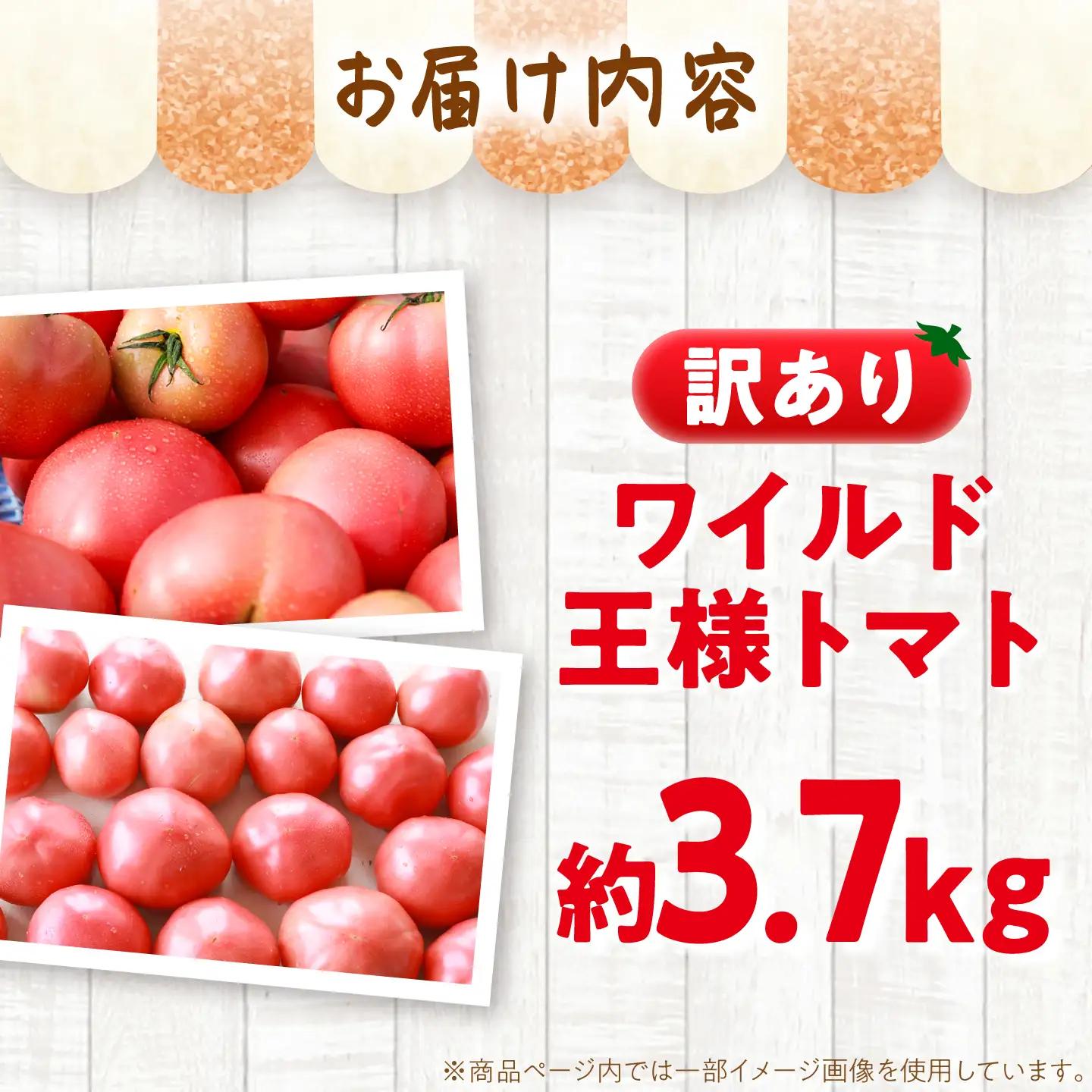 【7月上旬から順次発送】＼訳あり／ワイルド王様トマト 3.7kg / トマト とまと 箱入り 3.7キロ / 恵那市 / 阿部農園[AUGA008]