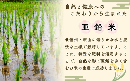 【先行予約】[令和７年産 新米］  亜鉛米（コシヒカリ） 無洗米 5kg 真空パック （7-50）　長野県 飯山市 おすすめ ランキング おいしい 高評価 大人気 こしひかり こしひかり こしひかり 