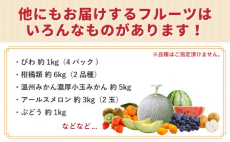 【年6回 旬のフルーツ定期便】旬の果物をお任せで6回お届け みかん ぶどう びわ すいか 梨 いちご メロン キウイなど / 南島原市 / 長崎県農産品流通合同会社 [SCB010] / フルーツ定期