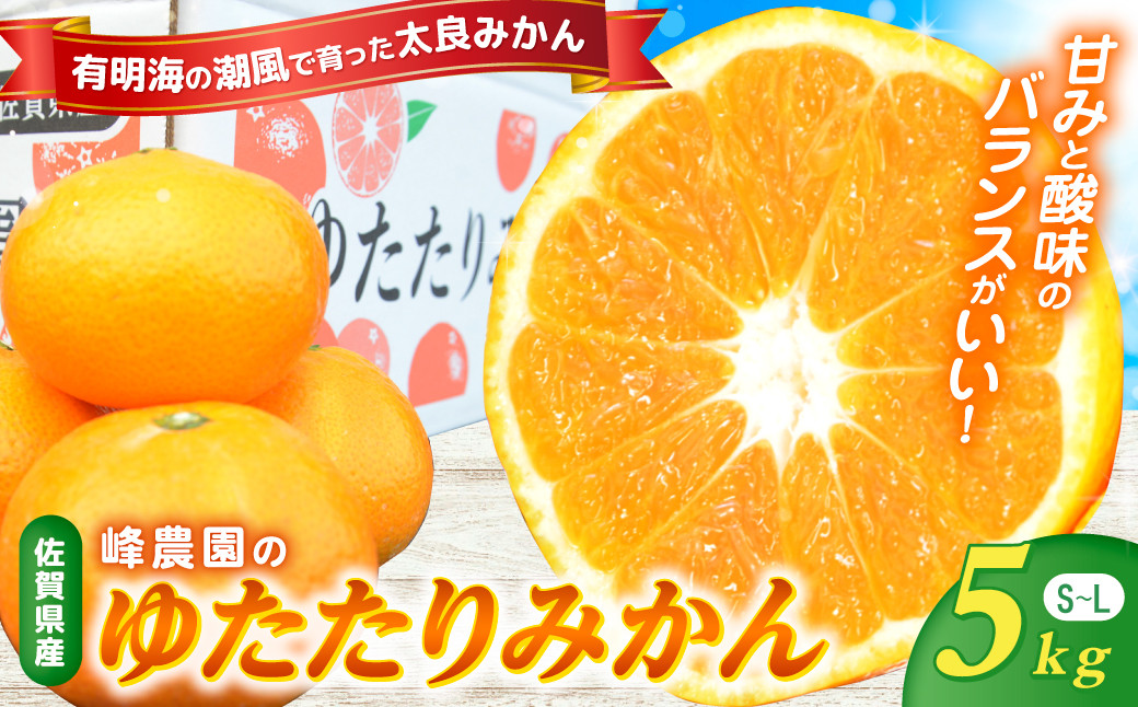 
                  LB15x1 峰農園のゆたたりみかん（小玉） 5kg みかん 温州みかん 完熟みかん さがみかん 太良みかん 早生 甘熟 柑橘 国産 極甘 小玉 美味しい ミネラル豊富 多良岳山系の水 有明海の潮風 贈答用 お中元 お歳暮 産地直送 佐賀県 太良町 【2026年11月発送予定】
                