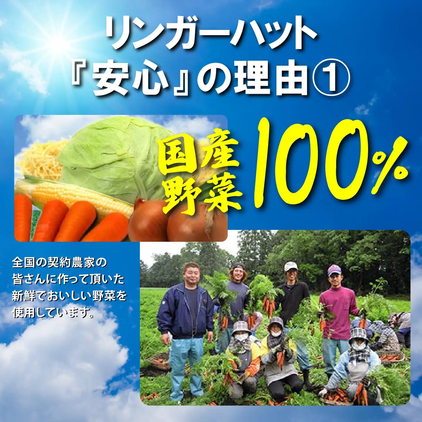リンガーハット 野菜たっぷりちゃんぽん 8食 チャンポン 簡単調理