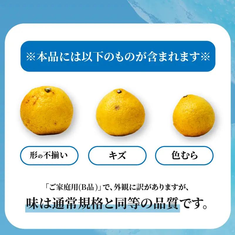 【2027年2月中旬から順次発送】はるか 5kg  家庭用 みかん 柑橘 【RNK028】
