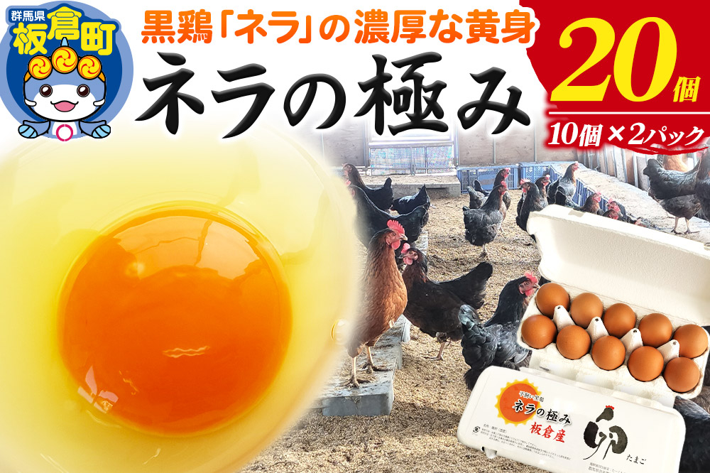 
            ネラの極み 卵 たまご 20個（10個×2パック）
          