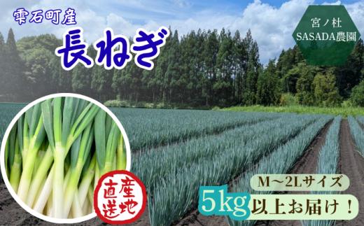 雫石町産 長ねぎ 約5kg 【宮ノ杜SASADA農園】 長ネギ 長葱 ねぎ ネギ 葱 白ねぎ 白ネギ 白葱 新鮮 野菜 生野菜 やさい 人気野菜 国産 産地直送 農家直送 人気 おすすめ 5キロ ５kg 5キログラム 料理 薬味 鍋 鍋料理 家庭用 お取り寄せ おすそ分け 仕送り 美味しい シャキシャキ 送料無料 岩手県産