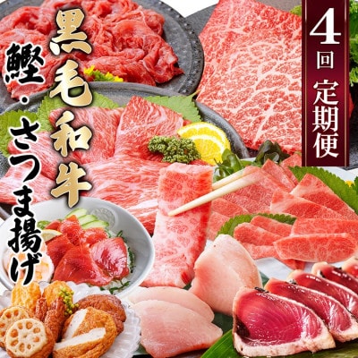定期便(4回配送)黒毛和牛＆まぐろ・かつお・さつま揚げ EE-0046【配送不可地域：離島】