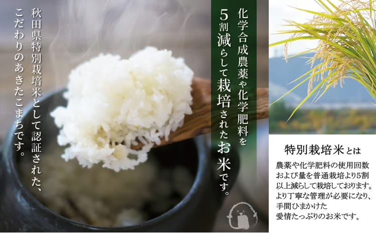 【令和7年産】秋田県特別栽培米あきたこまち「まごころ米」 5kg　 55P9010【(有)真正ファーム】