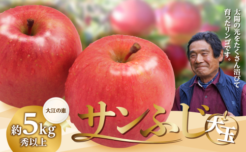 大江の恵み 大玉サンふじ約5kg・秀以上(14～18玉) 【2025年12月中旬発送予定】 【003-029】