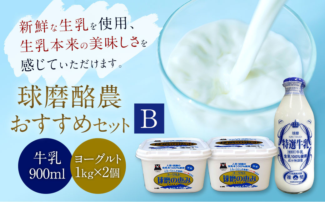 
            球磨酪農おすすめセットB （瓶牛乳&ヨーグルト加糖×2個） 乳製品 牛乳 生乳 ヨーグルト 加糖 セット
          