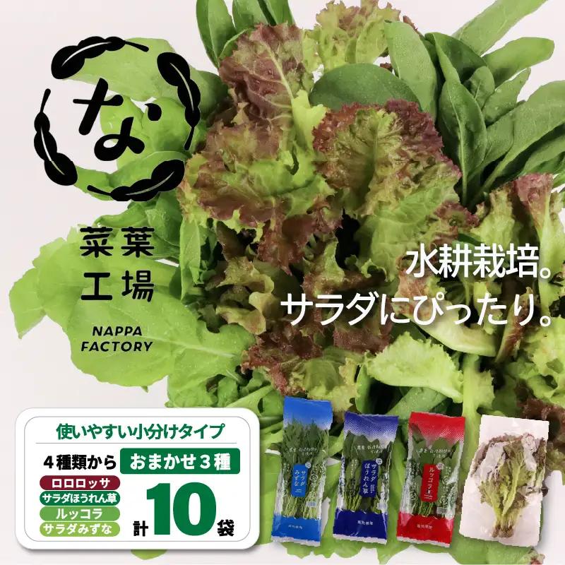 おまかせ3種セット ロロロッサ ルッコラ ほうれん草 みずな サラダ | 水耕 葉物 野菜 南国市