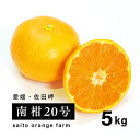 【ふるさと納税】【先行予約】Saito Orange Farmの南柑20号5kg ｜ 温州みかん 代表 柑橘 みかん ミカン フルーツ 果物 愛媛　※離島への配送不可　※2024年12月下旬頃より順次発送予定