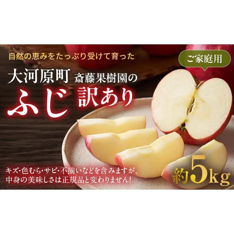 りんご ふじ 訳あり 5kg さんふじ りんご