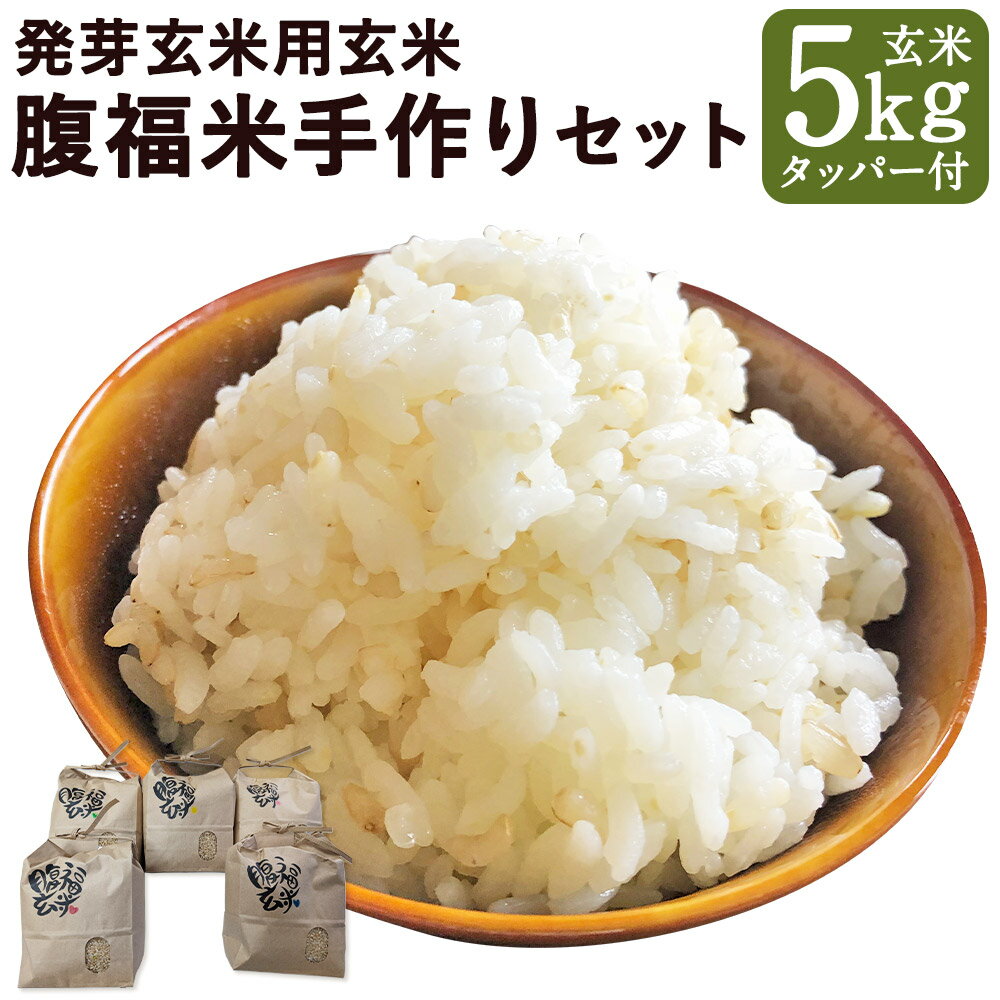 【ふるさと納税】発芽玄米用玄米 腹福米手作りセット 玄米 5kg タッパー 1個 ヒノヒカリ 令和6年度 米 お米 発芽玄米 熟成米 熊本県産 九州産 国産 益城町 送料無料【2025年11月上旬より順次発送予定】