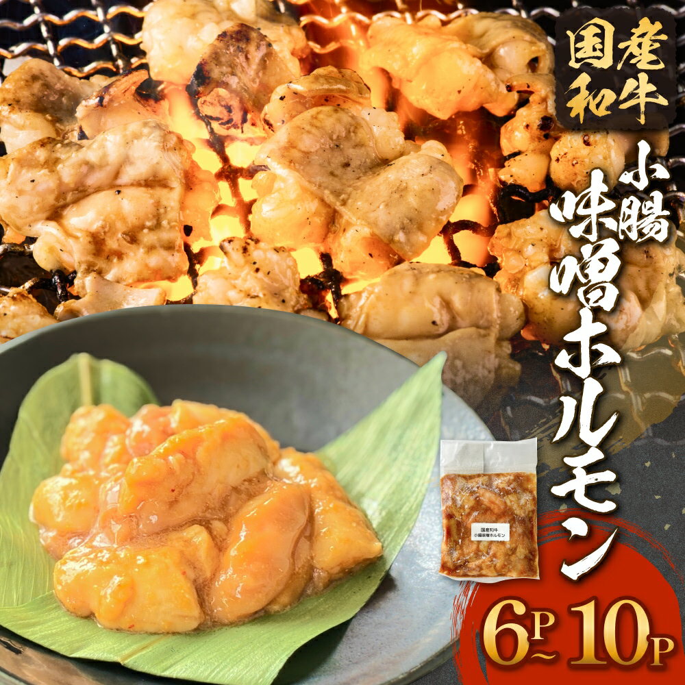 【ふるさと納税】国産和牛 味噌 ホルモン 6P または 10P 味噌ホルモン 牛ホルモン 小腸 国産 宮城県産 味付 モツ 和牛 肉 お肉 牛肉 牛 内臓 宮城県 石巻市 14日以内