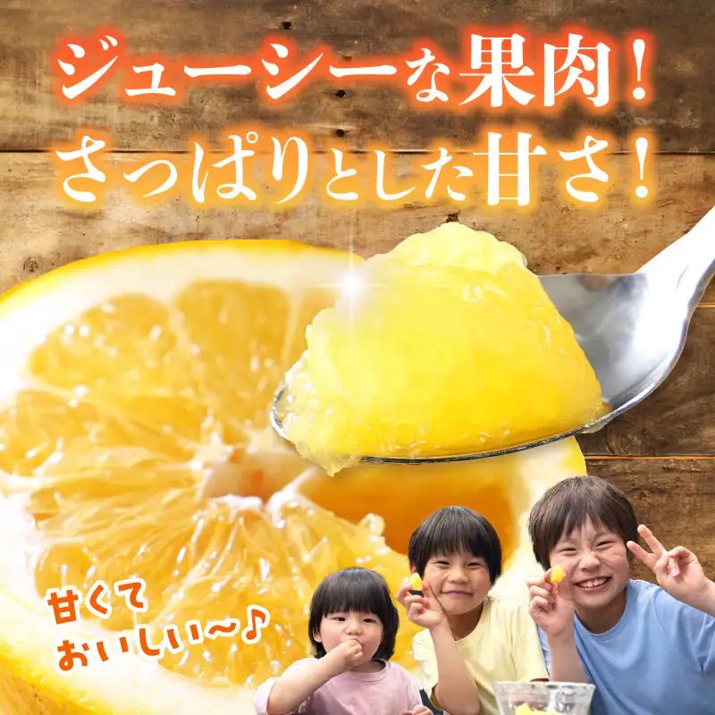 S040-023A_農家の手摘みあまくさ木成り晩柑 約7.5kg 先行受付