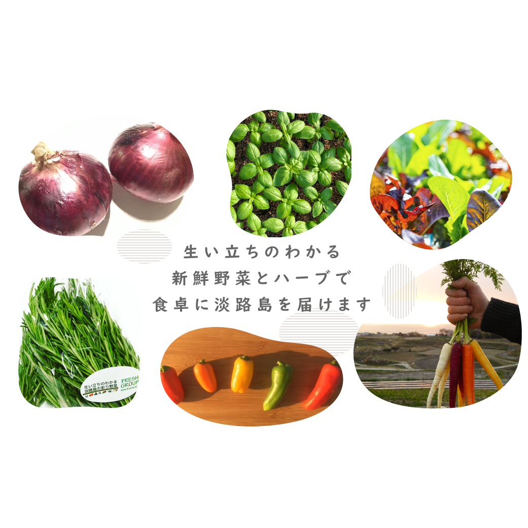フレッシュグループ淡路島彩り野菜と香るハーブセット　　[野菜セット 野菜詰め合わせ 野菜セット]_イメージ3
