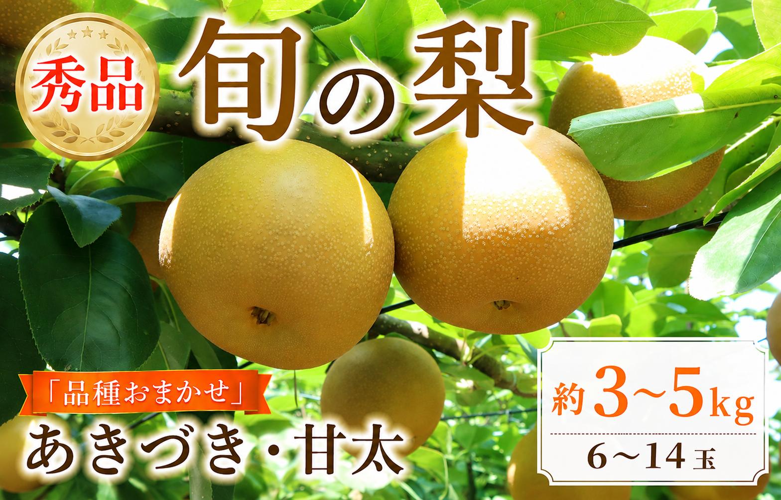 
                  梨 あきづき 甘太 約 3kg 5kg 贈答品 (6玉 - 14玉) 旬 産地直送 千葉県 なし ナシ 品種おまかせ 贈答梨 秀品 期間限定 贈答用 贈り物 贈答 秋月梨 甘太梨 秋月 かんた 甘い 旬の果物 旬のフルーツ 【 2026年先行予約 】 くだもの 果物 フルーツ プレゼント デザート 千葉 旭市 ヤマホン園 yhe
                