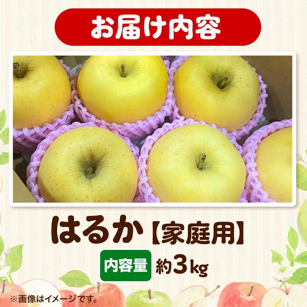 りんご はるか 家庭用 約3kg 先行受付 12月発送 りんご