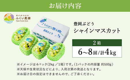 豊岡ぶどう シャインマスカット ２箱  約4kg / 豊岡ブドウ 産地直送 糖度が高い 濃厚 甘味 上品な香り 歯切れの良い 皮ごと 食べられる 減農薬 シャイン マスカット ぶどう ブドウ 葡萄 果