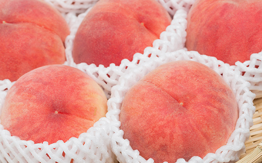 《2026年先行予約》山形県産 リピータ続出！秋の収穫 白桃 約2kg（4～10玉） 桃 もも フルーツ 果物 くだもの 山形県 中山町 F4A-0426