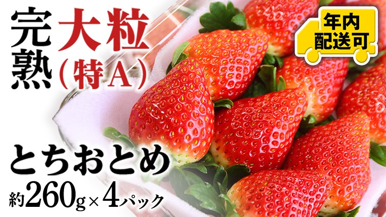 
            【12/17までの申込で年内にお届け！】 完熟 とちおとめ 約260g×4パック 年内お届け 国産 いちご イチゴ 苺 とちおとめ [BC080sa]
          