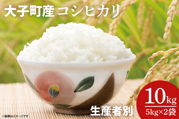 【ふるさと納税】子町産コシヒカリ 生産者別10kg（5kg×2袋）｜茨城県 大子町 お米 白米 大子米 こしひかり（AJ008）