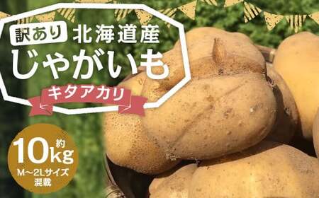 【訳あり】北海道産 じゃがいも キタアカリ M～2Lサイズ混載 約10kg 1箱 山田農場 ジャガイモ 芋 いも イモ 訳アリ わけあり ワケアリ 国産 【2026年9月下旬-2027年1月上旬迄発送予定】