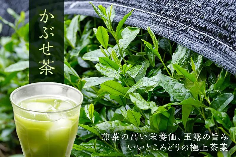 粉末かぶせ茶400g（緑茶 煎茶 玉露