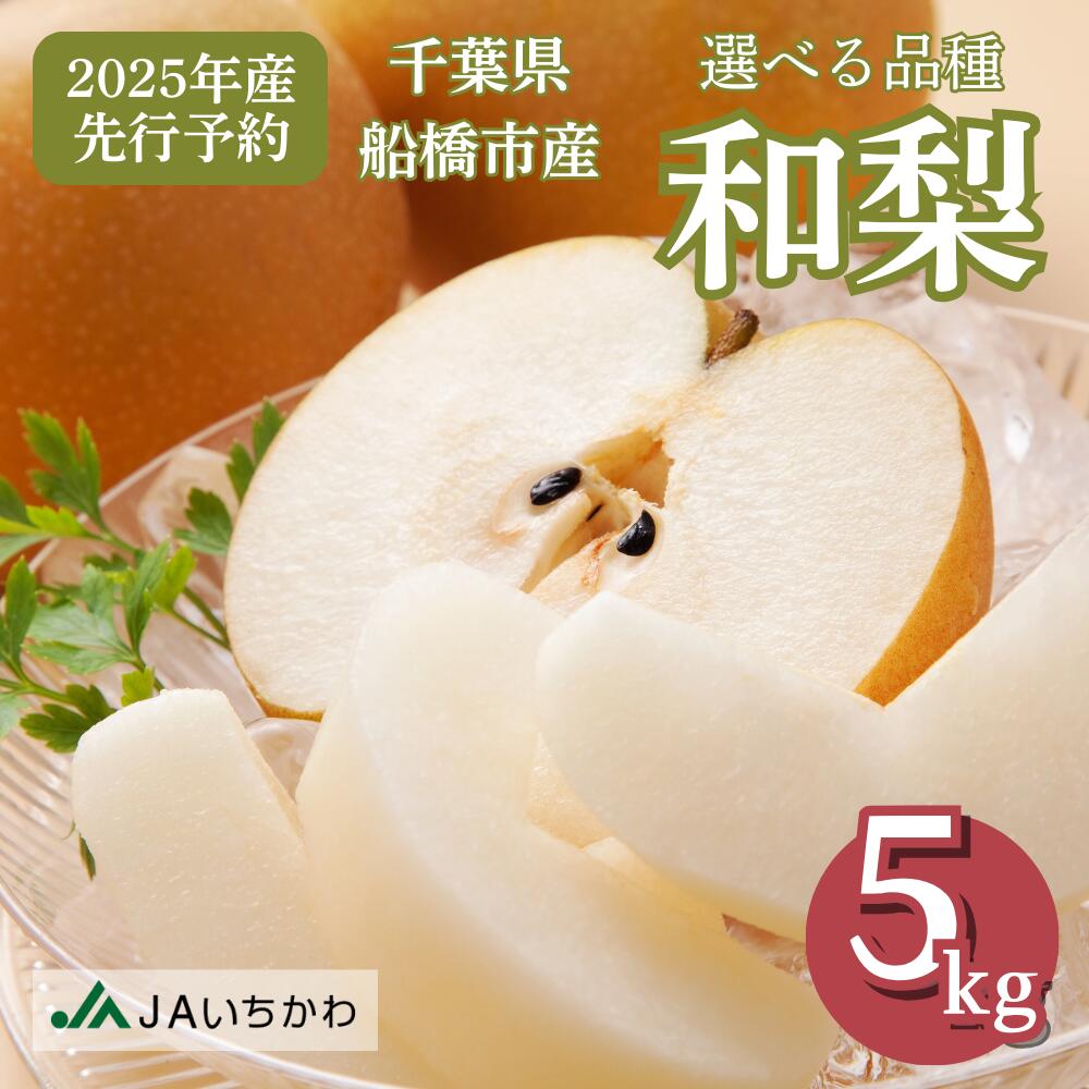 【ふるさと納税】船橋のなし 5kg 12～16玉 幸水 豊水 秋月 あきづき JA厳選 高品質 梨 千葉県 船橋市産 2025年産 先行予約