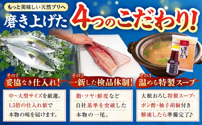 【全3回定期便】 寒ブリしゃぶしゃぶセット ブリしゃぶ ぶりしゃぶ 寒ブリ しゃぶしゃぶ 鍋　[JAH023] 54000 54000円