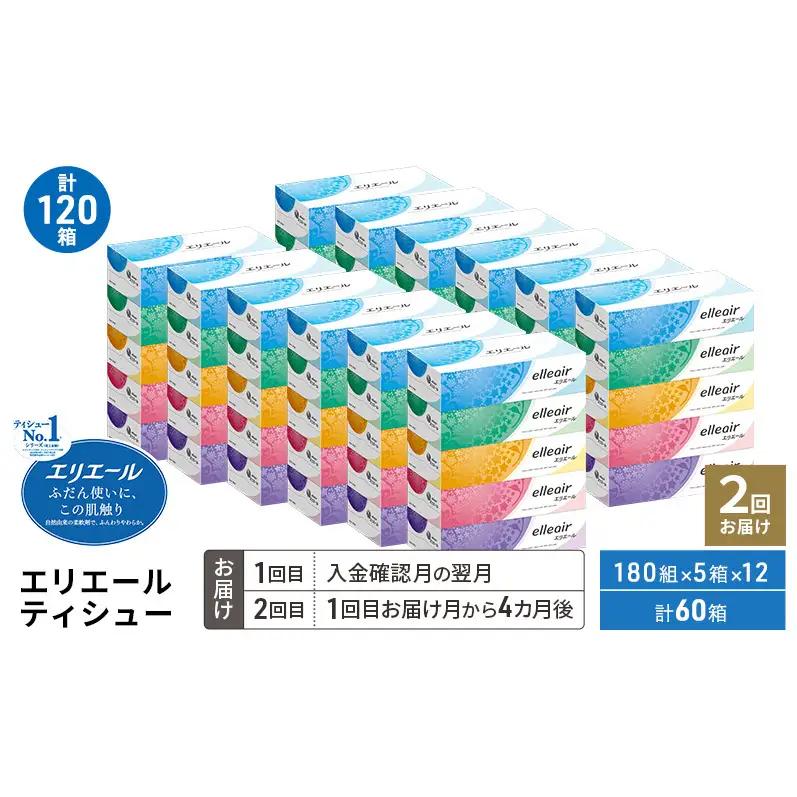ティッシュ エリエール 180組5箱 大容量 ティッシュ【2回定期便】
