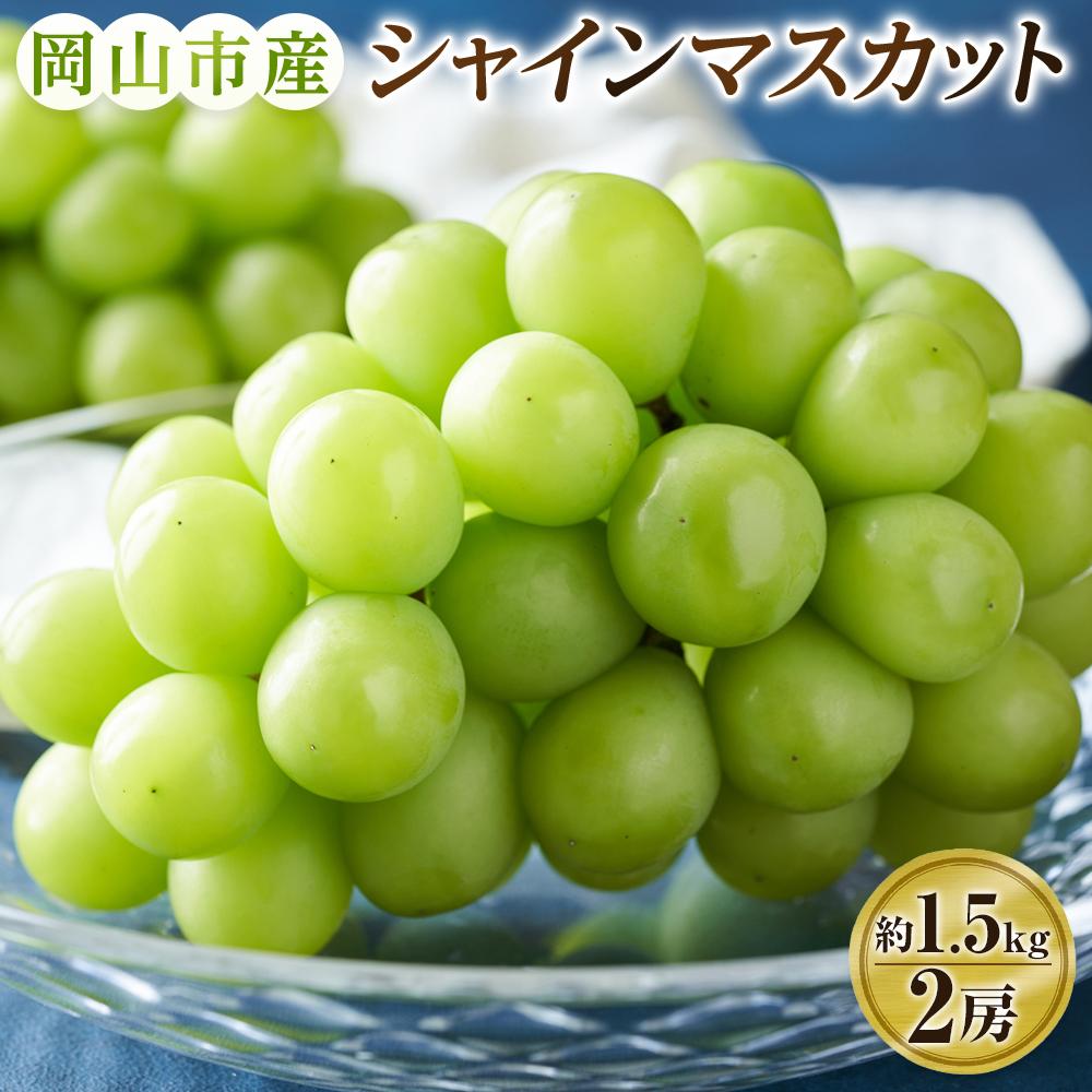 【ふるさと納税】ぶどう 2026年 シャインマスカット 2房（約1.5kg） ブドウ 葡萄 岡山市産 国産 フルーツ 果物 ギフトタンポポ農園 | フルーツ 果物 くだもの 食品 人気 おすすめ 送料無料