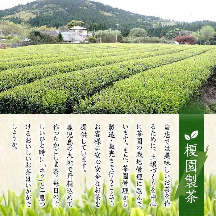 No.615 鹿児島県産の煎茶セット「さくら」厳選した4種類の品種をブレンドした煎茶さくら(100g×3袋)と粉末緑茶(1袋)【世献 榎園製茶】