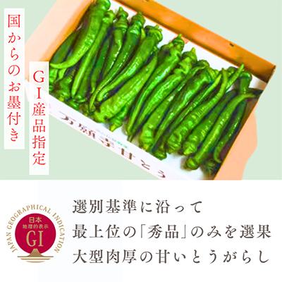ふるさと納税 舞鶴市 甘い!美味い!辛くない!京のブランド産品「万願寺甘とう」2kg |  | 02