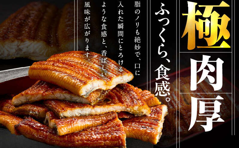 【7/26土用の丑の日】暴れ盛りセット 牛たん & うなぎ 総量 1.2kg【600g×2 牛肉 厚切り牛タン 鰻 蒲焼き 訳あり サイズ不揃い 小分け 家計応援】 G3614d_イメージ5