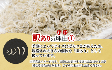 訳あり ちりめん 1kg しらす 干し 冷蔵 産地直送 国産 徳島県産 和田島産 ちりめんじゃこ 規格外 魚 魚介類 魚介 乾物 サラダ チャーハン おつまみ テッパン返礼品 ( 大人気ちりめん 人気