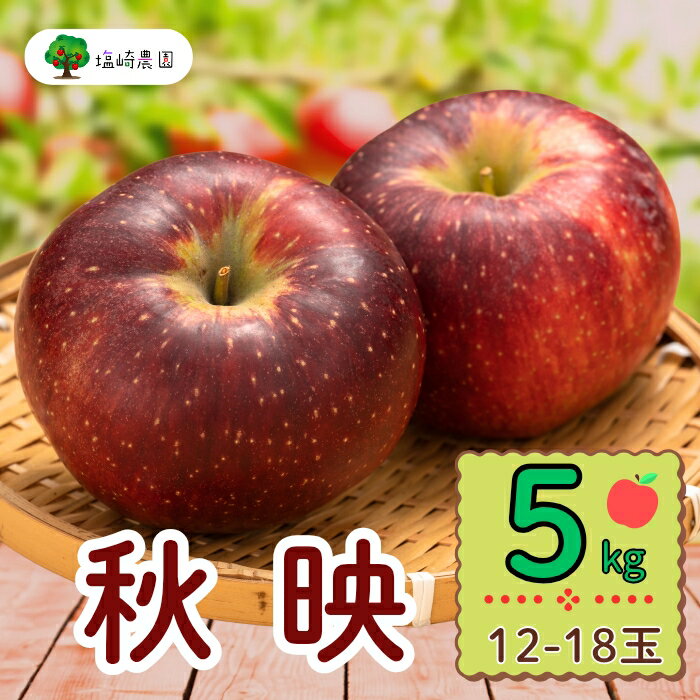 【ふるさと納税】＜先行予約＞秋映（あきばえ）【約5kg(12〜18玉)】＜出荷開始：2025/10月上旬～中旬頃＞(7-A23-2)【 フルーツ りんご 長野県 飯山市 ギフト プレゼント 記念日 誕生日 父の日 母の日 敬老の日 記念品 あきばえ ゴルフコンペ コンペ景品 景品 賞品】