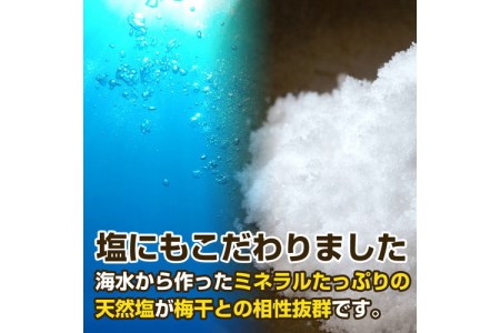 【0181-3】紀州南高梅 特選A級 白干梅(梅干し)1kg［無添加］和歌山県産