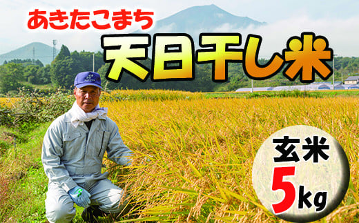 
【2024年11月発送開始】 令和6年産 新米 岩手県産 天日干し米 あきたこまち 玄米 5kg ／ ご飯 産地直送 伊藤家 お米
