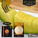 【ふるさと納税】【贈答用】 メロン めろん ゴージャスメロン（アールスメロン）6Lサイズ 1玉／約2.5kg おすすめ 人気 国産 青肉 産地直送 茨城 鉾田 フルーツ 旬 大きい プレゼント 贈り物 旬 定番 果物 くだもの 甘い なめらか 高級 お供え