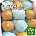 【ふるさと納税】 西洋梨 （ ラ・フランス または ゴールドラ・フランス ）3.5kg ご家庭用 6～12玉 7L～L サイズ 果物 フルーツ 洋なし 産地直送 山形 お取り寄せ 送料無料 秋 旬 山形県 上山市 0075-2407