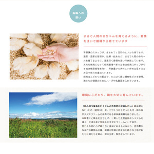 【数量限定】赤玉・黄味自慢 たまご詰め合わせ60個【卵 玉子 タマゴ 新鮮 タンパク質 目玉焼き 茨城県 水戸市】（LB-1）