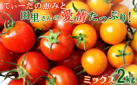 てぃーだの恵みと田里さんの愛情たっぷり！ミニトマト ミックス2kg ミニトマト トマト 野菜 甘い 濃厚 フルーツ デザート フレッシュ サラダ スープ ピザ パスタ ソース トマト料理 リコピン ビタミンC ビタミンA β－カロテン 抗酸化作用 免疫機能