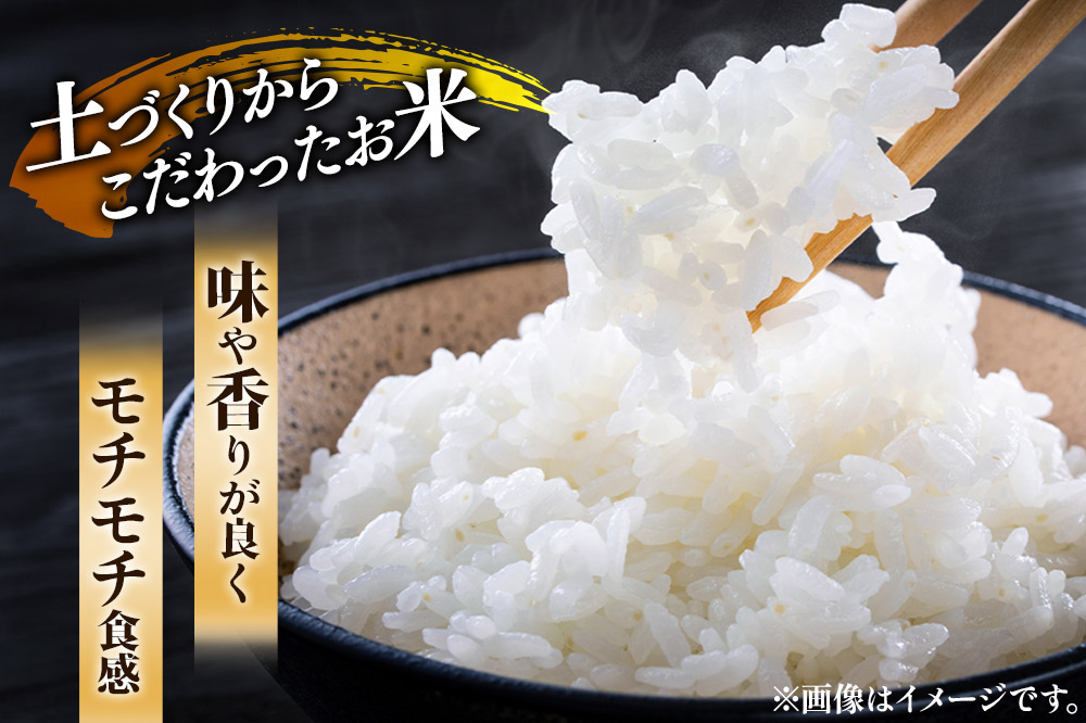 【白米】《定期便》 10kg (5kg袋小分け) ×7回 令和7年産 ひとめぼれ 土作り実証米 合計70kg 秋田県産