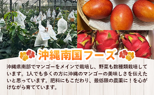 国産 希少種！南国フーズのアップルバナナ 約5kg - バナナ ばなな 小ぶり 沖縄県 産地直送 果物 フルーツ 南国 朝食 おすすめ 沖縄県 八重瀬町