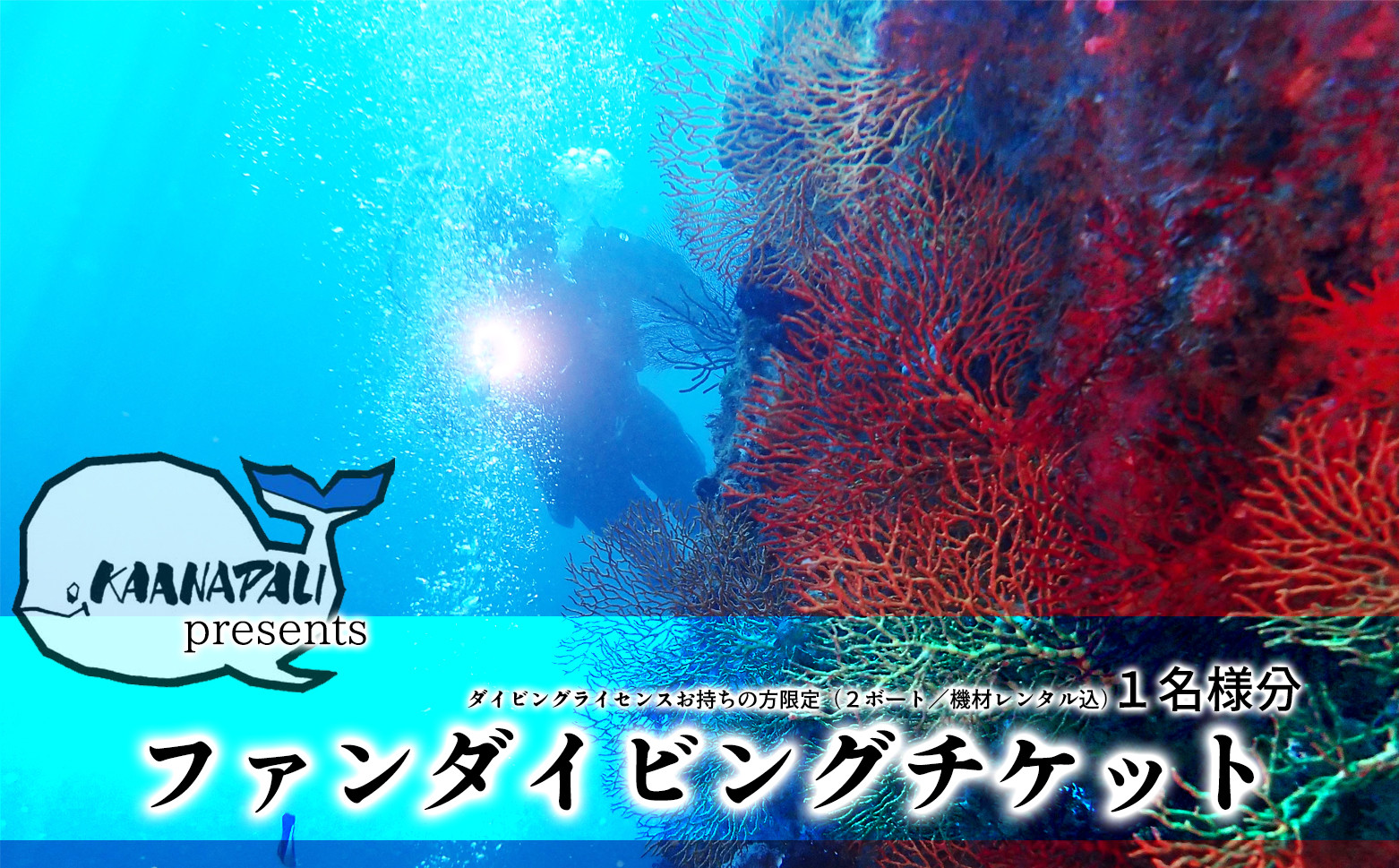 
水着1つでお越しください！徳島最南端の海でファンダイビング！（２ボート） ファンダイビング 体験 (2ボート/器材レンタル込) カアナパリ ダイビング アクティビティ マリンアクティビティ 四国 徳島 徳島県 海陽 海陽町
